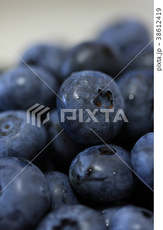 ブルーベリー ブルーベリー 38612419