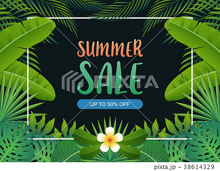 Summer sale background banner. Vector illustration 38614329