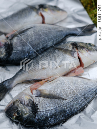 Fresh dorado fish 38614762