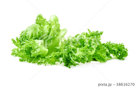 green frillies iceberg lettuce isolated on white  38616270