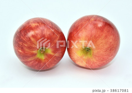 リンゴ（サンつがる） 38617081