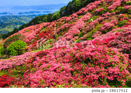長串山公園のつつじと九十九島　【長崎県佐世保市鹿町町】 38617412