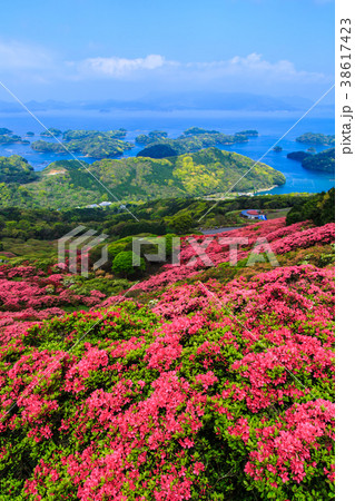 長串山公園のつつじと九十九島 【長崎県佐世保市鹿町町】 長串山公園のつつじと九十九島 【長崎県佐世保市鹿町町】 38617423