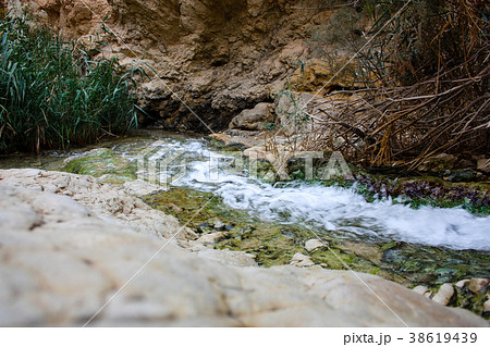Landscape of the Negev desert in Israel 38619439