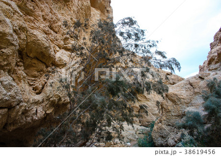 Landscape of the Negev desert in Israel 38619456