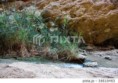 Landscape of the Negev desert in Israel Landscape of the Negev desert in Israel 38619463