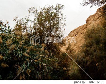Landscape of the Negev desert in Israel 38619753