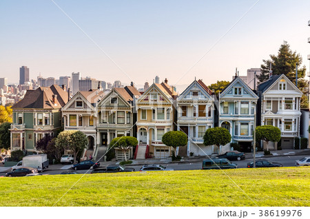 サンフランシスコのペインテッド・レディー 38619976