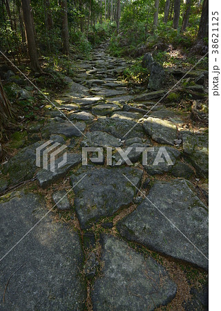 【熊野古道】馬越峠 38621125