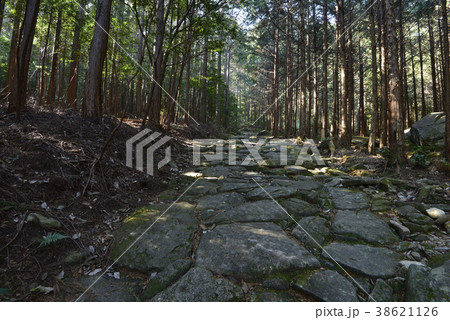 【熊野古道】馬越峠 38621126