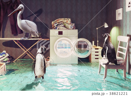 housework dreams. housework dreams. 38621221