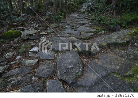 【熊野古道】馬越峠 38621270