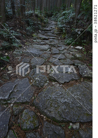 【熊野古道】馬越峠 38621271