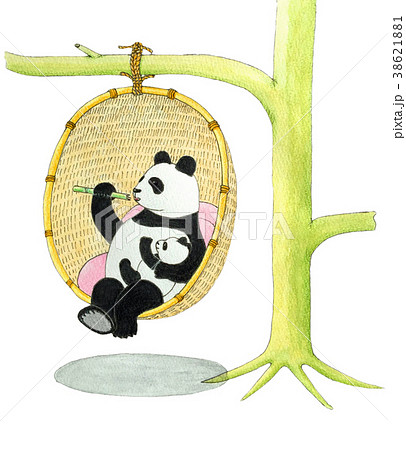 ハンギングチェアーとパンダ ハンギングチェアーとパンダ 38621881