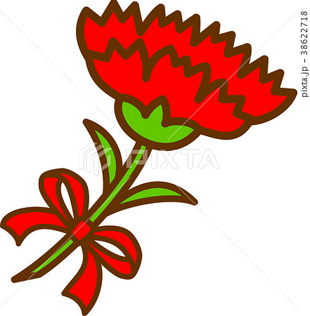 赤いカーネーション一輪　赤いりぼん 38622718