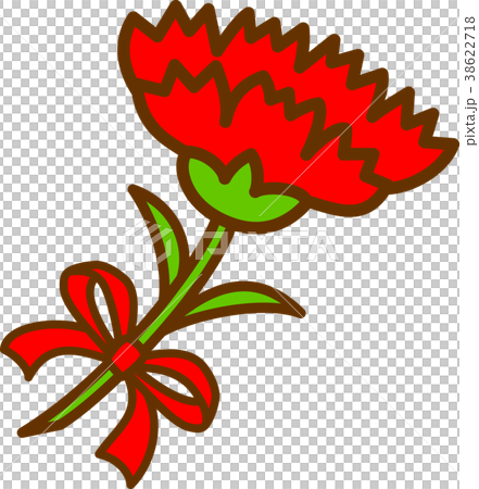 赤いカーネーション一輪　赤いりぼん 38622718