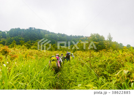 小樽市塩谷丸山 登山道 38622885