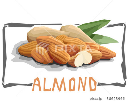 Illustration of nuts almonds. Illustration of nuts almonds. 38623966