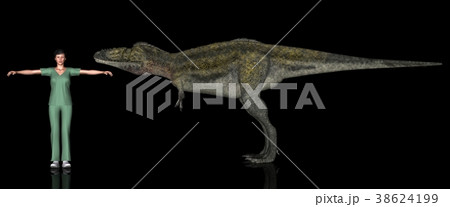 恐竜縮尺図・アリオラムス 38624199