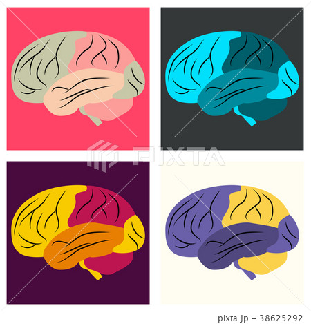 Set of brain illustration in flat monochrome color Set of brain illustration in flat monochrome color 38625292