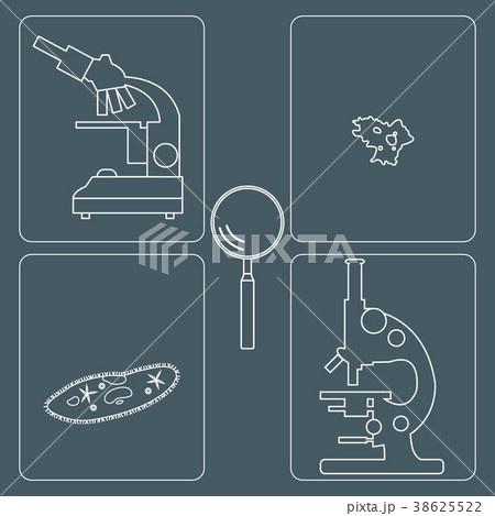 microscopes, magnifiers, amoeba, ciliate-slipper 38625522