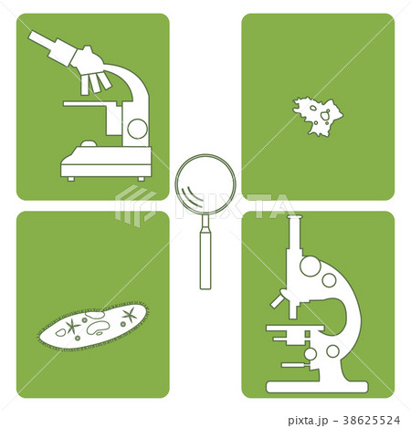 microscopes, magnifiers, amoeba, ciliate-slipper microscopes, magnifiers, amoeba, ciliate-slipper 38625524