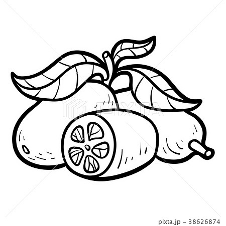 Coloring book, Kumquat 38626874