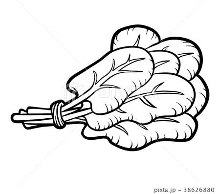 Coloring Book Spinachのイラスト素材 38626880 Pixta