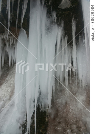 常滑の滝 38629984