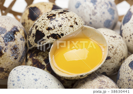 ウズラのタマゴの中身 38630441