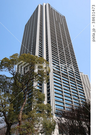 神戸市役所 38631473