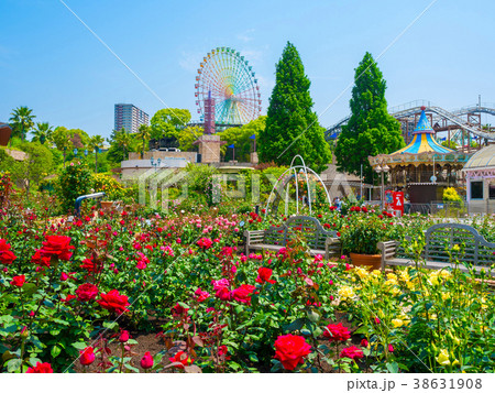 枚方パークのバラ園 38631908