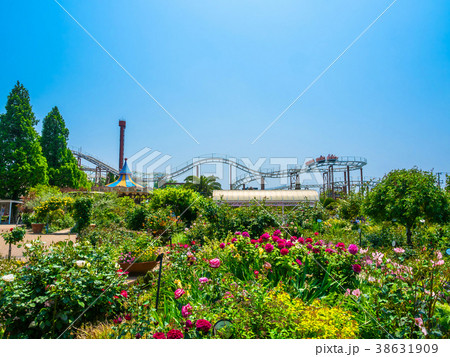 枚方パークのバラ園 38631909