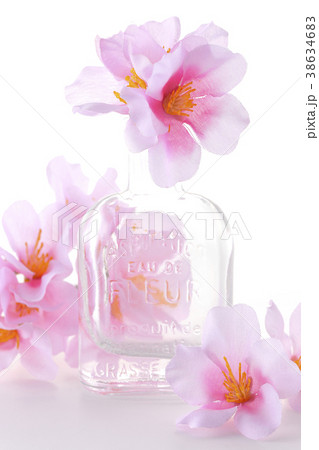 おしゃれに花見 38634683