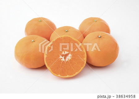 麗紅（はまさき） 38634958