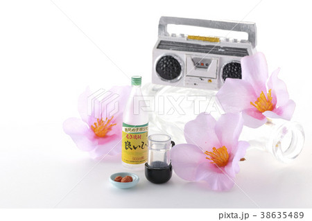 花見　ラジカセ　宴会 38635489
