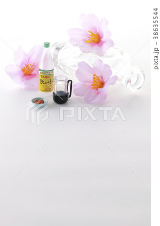 焼酎で花見 焼酎で花見 38635544