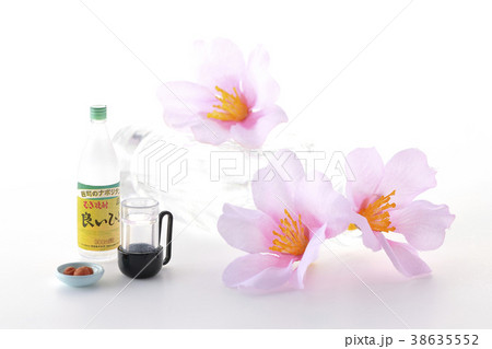 焼酎で花見 38635552