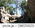 アンコール遺跡　巨木　ガジュマル 38635620