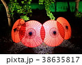 幻想庭園　和傘　ライトアップ 38635817