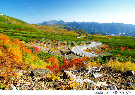 乗鞍岳エコーラインの紅葉 乗鞍岳エコーラインの紅葉 38635977