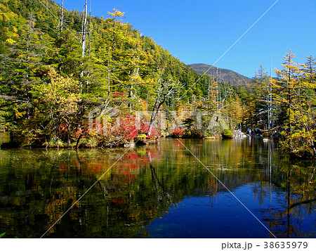 上高地-明神池の紅葉 38635979