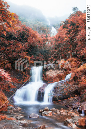 Silver waterfall or Thac Bac on fog in autumn 38636074
