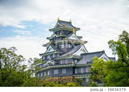 岡山城 岡山城 38636379