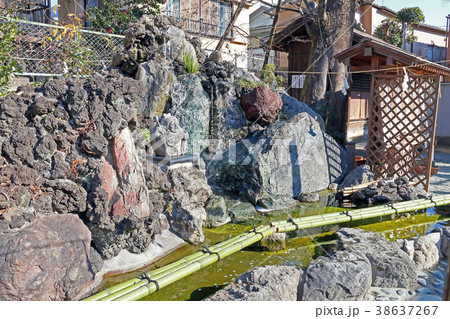 川越 熊野神社 川越 熊野神社 38637267