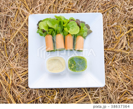 Salad roll green and red oak organic 38637364