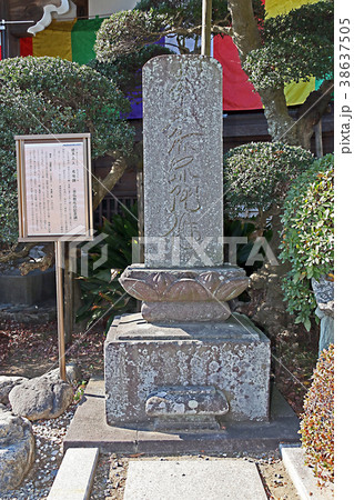 見立寺 見立寺 38637505