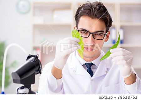 Biotechnology scientist chemist working in lab 38638763
