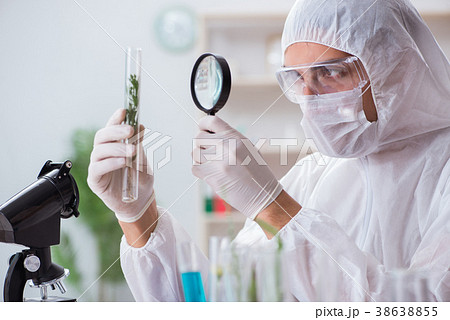 Biotechnology scientist chemist working in lab 38638855