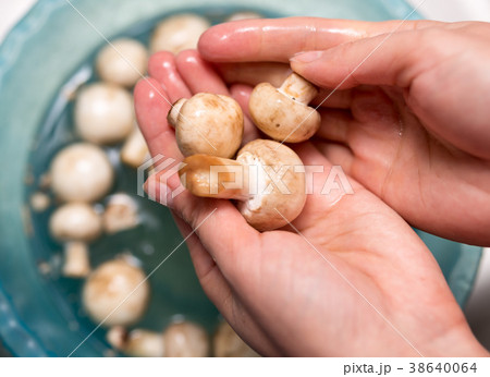 The cook washes the mushrooms in the water The cook washes the mushrooms in the water 38640064